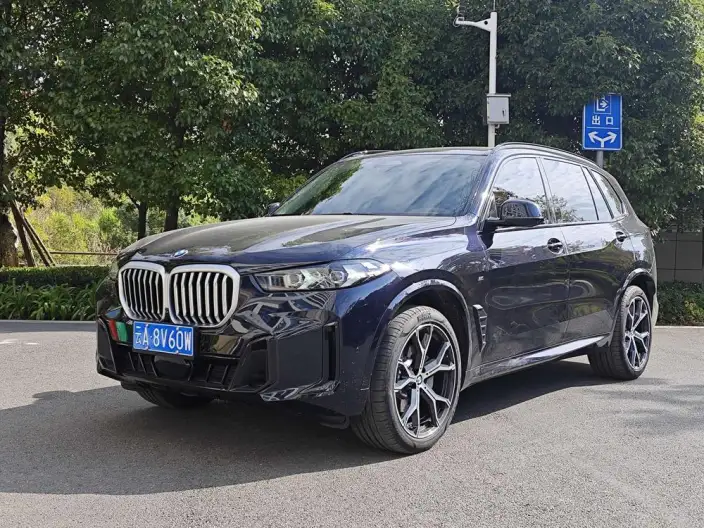 BMW X5 2025 Model xDrive30Li Exclusive Model M Sports Night Set – фото 1