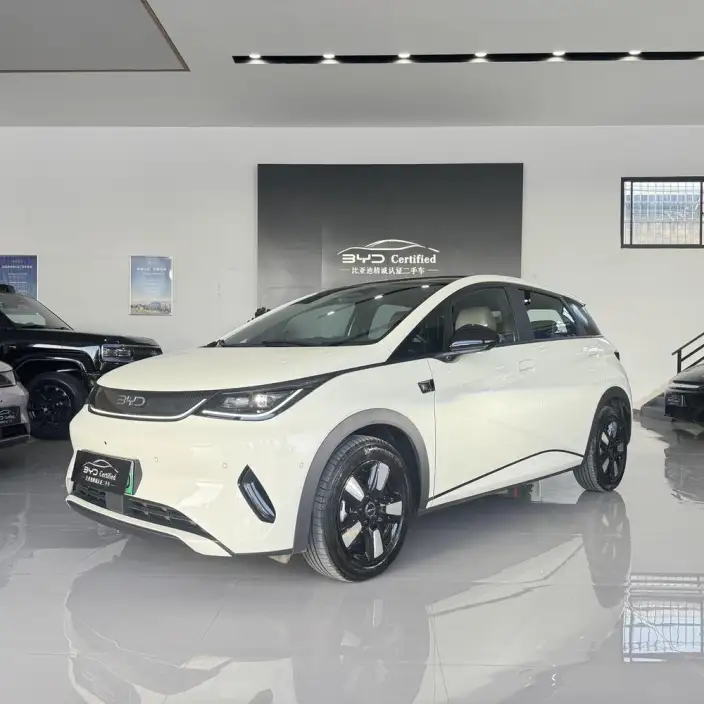 BYD Dolphin 2025 Model Smart Driving Edition 410KM Fashion Edition – фото 1