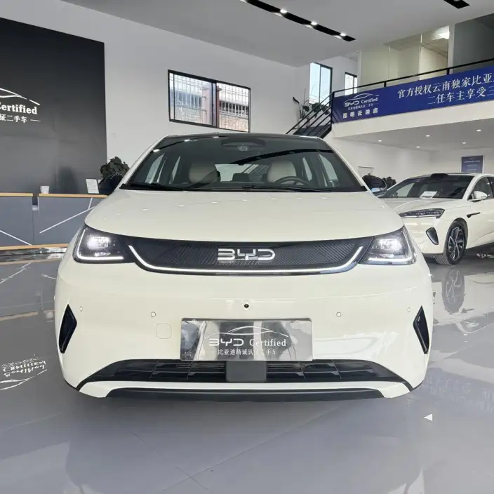 BYD Dolphin 2025 Model Smart Driving Edition 410KM Fashion Edition – фото 2