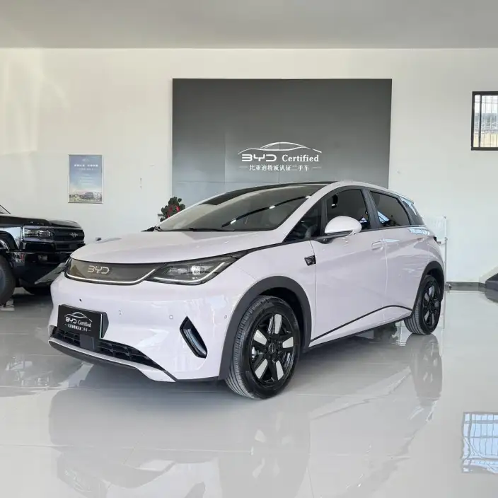 BYD Dolphin 2025 Model Smart Driving Edition 410KM Fashion Edition – фото 1