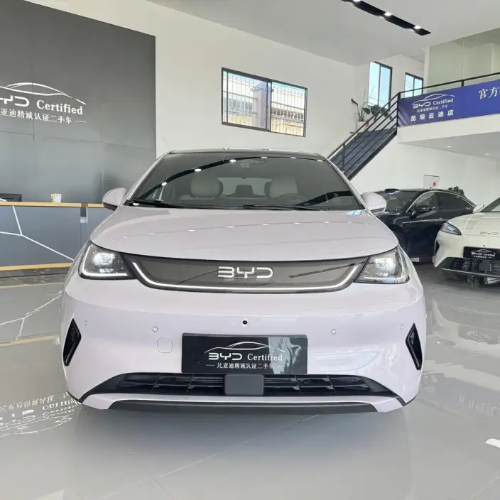 BYD Dolphin 2025 Model Smart Driving Edition 410KM Fashion Edition – фото 2