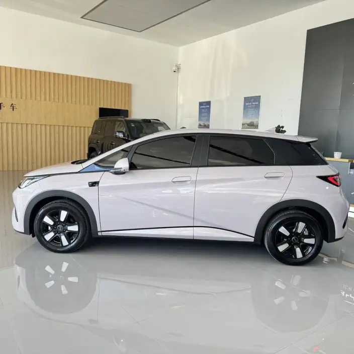 BYD Dolphin 2025 Model Smart Driving Edition 410KM Fashion Edition – фото 3