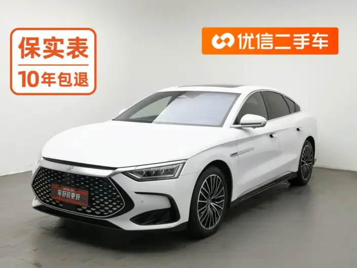 BYD Han DM 2022 Model DM-i 121KM Exclusive Model – фото 1