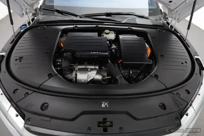 BYD Han DM 2022 Model DM-i 121KM Exclusive Model – фото 5