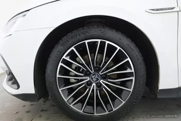 BYD Han DM 2022 Model DM-i 121KM Exclusive Model – фото 9