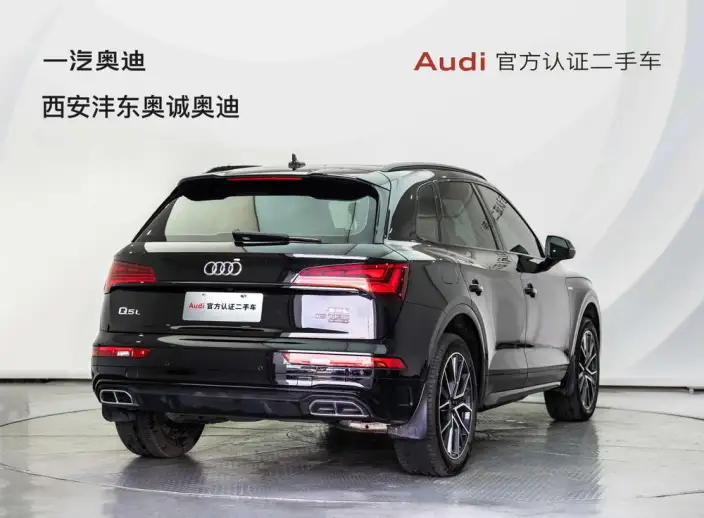 Audi Q5L 2026 Model quattro 45th Anniversary Collector Edition Edition 40TFSI Luxury Dynamic Model – фото 4