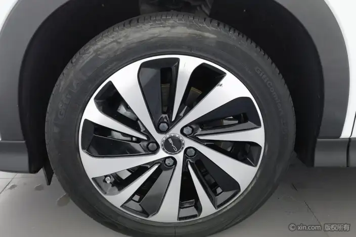 BYD Song PLUS DM 2024 Model DM-i Honor Edition 110KM Flagship Model – фото 10