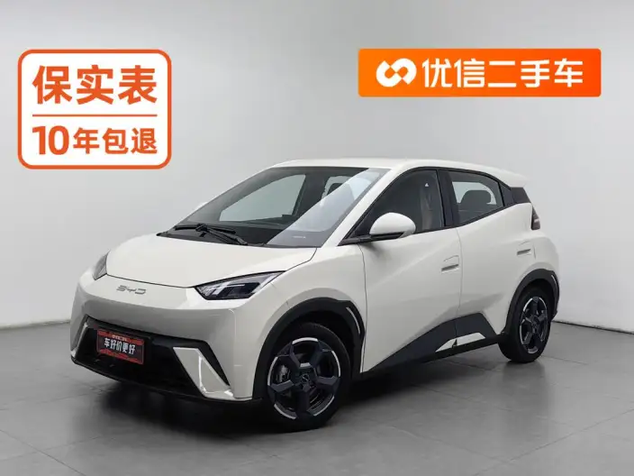 BYD Seagull 2023 Model Free Edition – фото 1