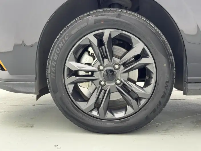 Yixuan 2024 Model 1.5L Automatic Speed Edition – фото 9