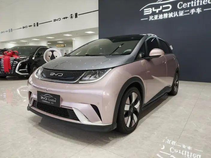 BYD Dolphin 2023 Model Knight Edition – фото 1