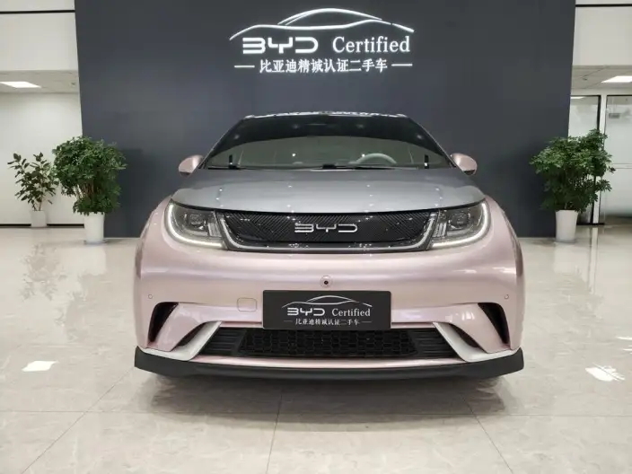 BYD Dolphin 2023 Model Knight Edition – фото 2