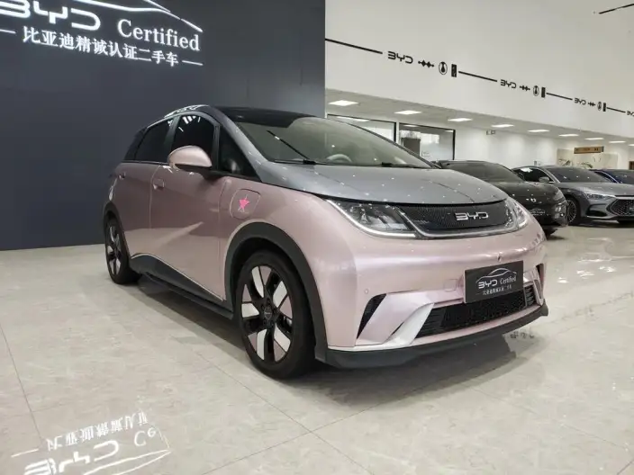 BYD Dolphin 2023 Model Knight Edition – фото 3