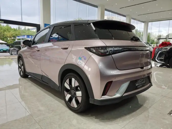 BYD Dolphin 2023 Model Knight Edition – фото 5
