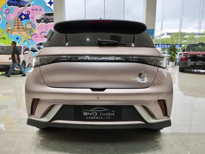 BYD Dolphin 2023 Model Knight Edition – фото 6