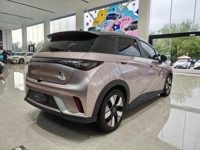 BYD Dolphin 2023 Model Knight Edition – фото 7