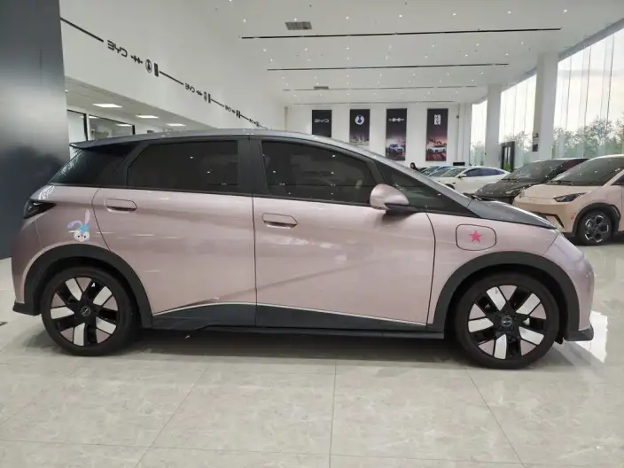 BYD Dolphin 2023 Model Knight Edition – фото 8