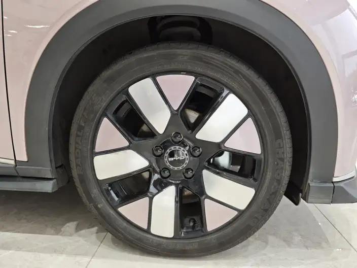BYD Dolphin 2023 Model Knight Edition – фото 10