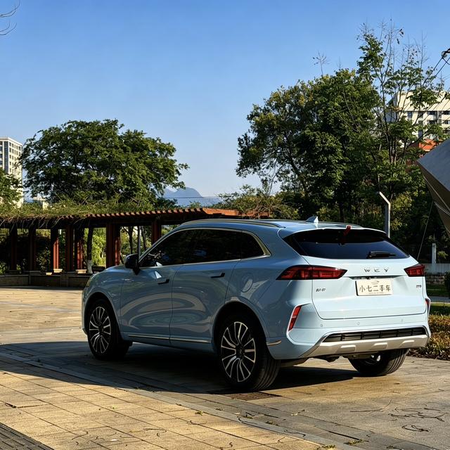 WEY Coffee 2021 2.0T 2WD Pure Flavor – фото 7