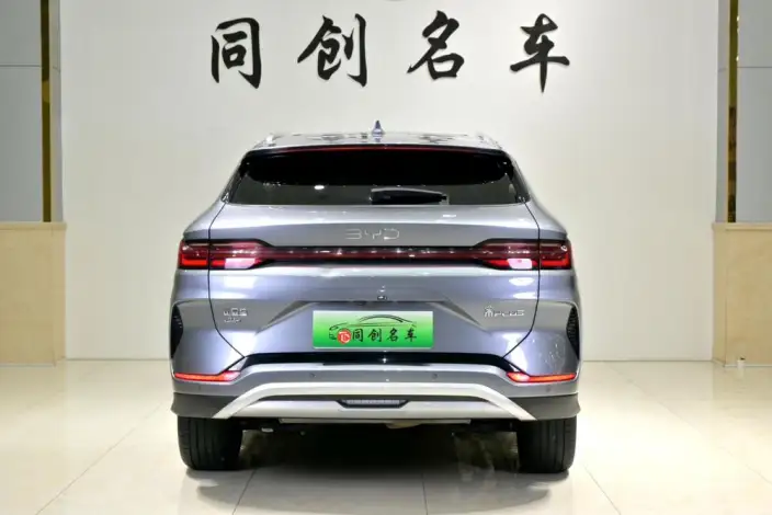 BYD Song PLUS DM 2025 Model DM-i 112KM Noble Model – фото 6