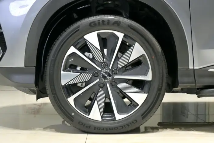 BYD Song PLUS DM 2025 Model DM-i 112KM Noble Model – фото 10