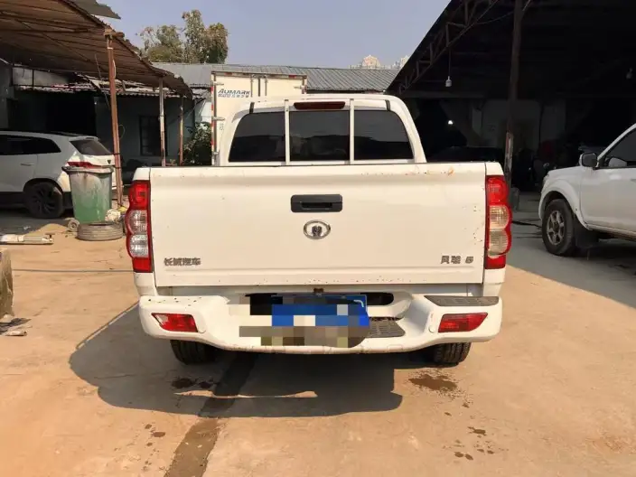 Wingle 5 2023 Model 2.0T Diesel 2WD Enterprising Model Long cargo box GW4D20M – фото 5