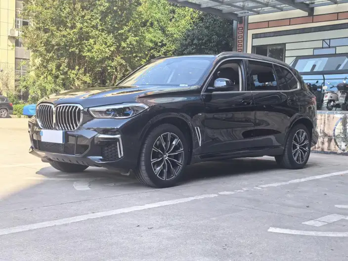 BMW X5 2022 Model xDrive 30Li Exclusive Model M Sports Set – фото 1