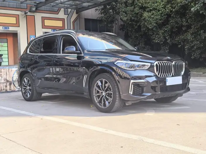 BMW X5 2022 Model xDrive 30Li Exclusive Model M Sports Set – фото 3