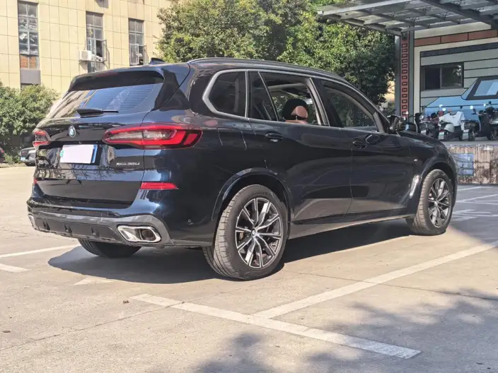 BMW X5 2022 Model xDrive 30Li Exclusive Model M Sports Set – фото 7