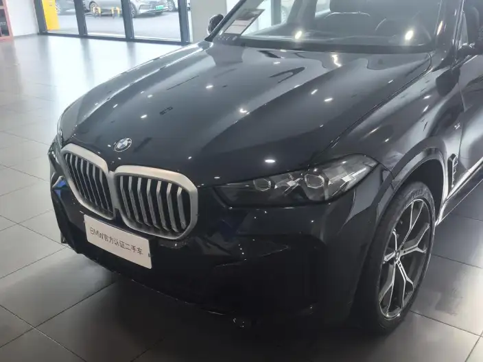 BMW X5 2025 Model xDrive30Li Exclusive Model M Sports Night Set – фото 2