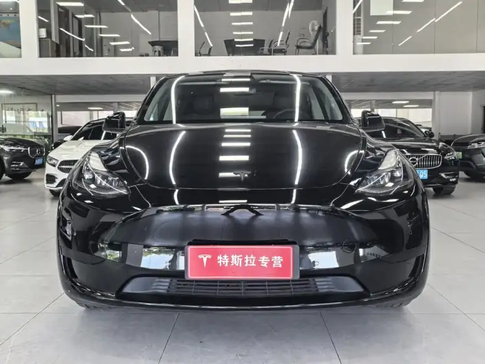 Model Y 2022 Model Facelift Rear-wheel drive version – фото 2