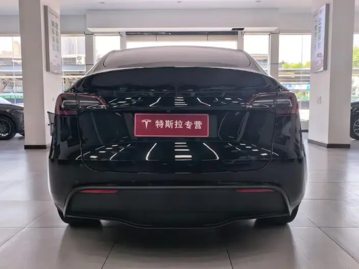 Model Y 2022 Model Facelift Rear-wheel drive version – фото 5