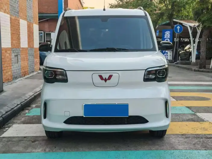 WULING Sunshine EV 2025 Model Enterprising Model