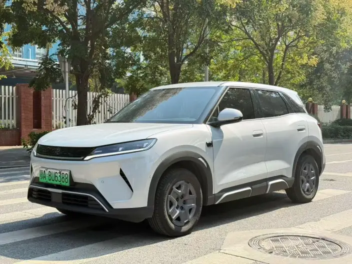 Yuan UP 2025 Model Smart Driving Edition 401KM Vitality Edition – фото 1