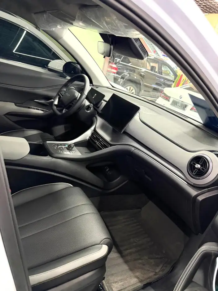 Haise 05DM 2025 Model Smart Driving Edition DM-i 75KM Luxury Model – фото 6
