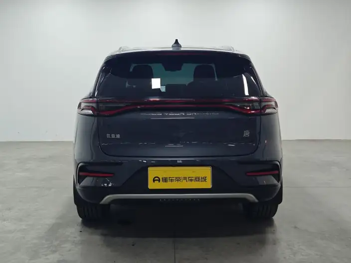 BYD Tang DM 2021 Model DM-i 1.5T 112KM Zunrong Model – фото 6