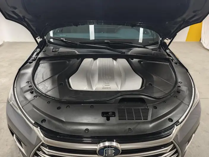BYD Tang DM 2021 Model DM-i 1.5T 112KM Zunrong Model – фото 10
