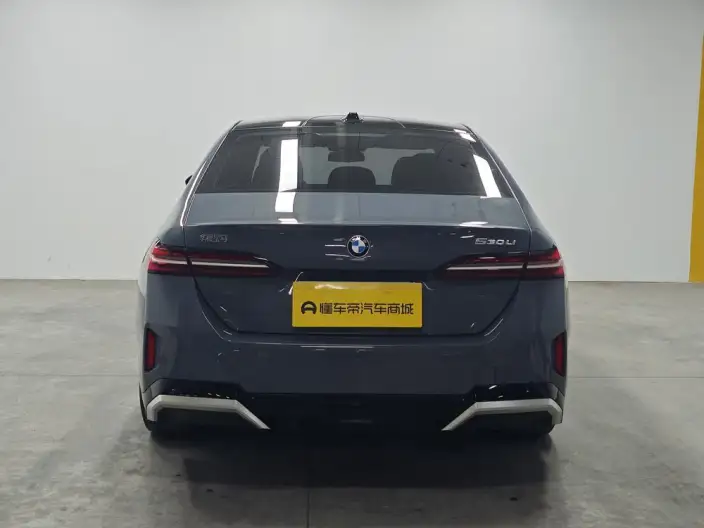 BMW 5 Series 2024 Model 530Li Leading Model M Sports Set – фото 6