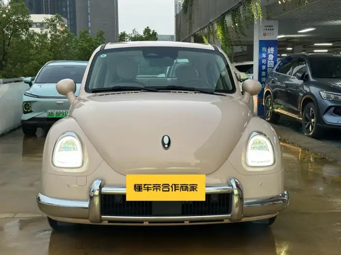 ORA Ballet Cat 2023 Model 401km Premium Edition