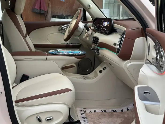ORA Ballet Cat 2023 Model 401km Premium Edition – фото 7