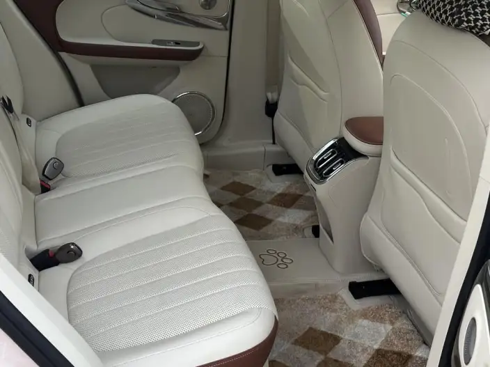 ORA Ballet Cat 2023 Model 401km Premium Edition – фото 9
