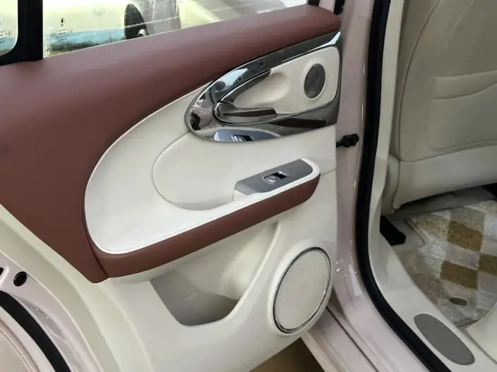 ORA Ballet Cat 2023 Model 401km Premium Edition – фото 10