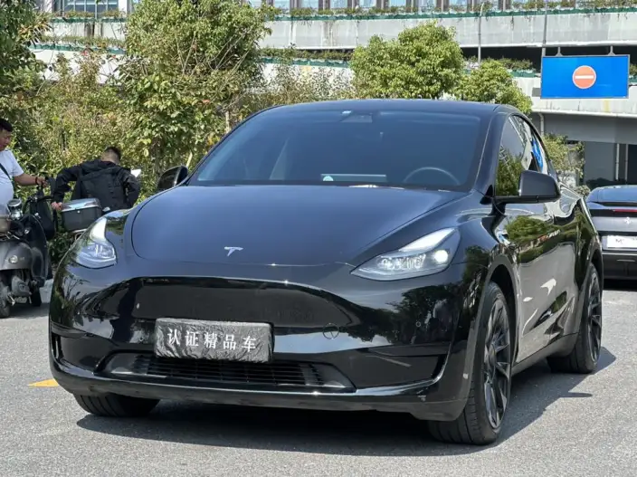 Model Y 2022 Model Rear-wheel drive version – фото 1