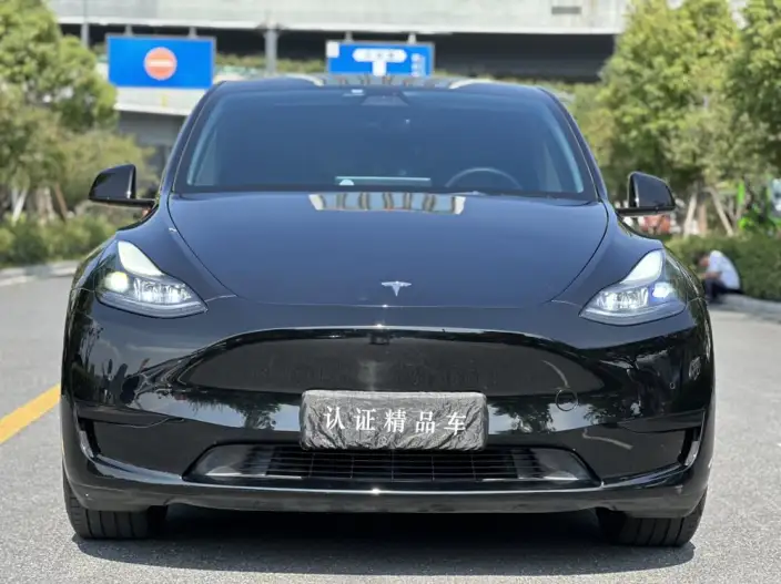 Model Y 2022 Model Rear-wheel drive version – фото 2