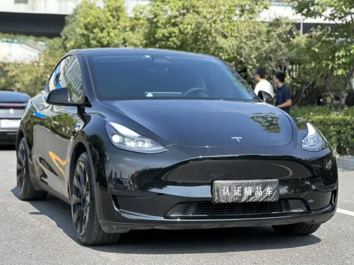Model Y 2022 Model Rear-wheel drive version – фото 3
