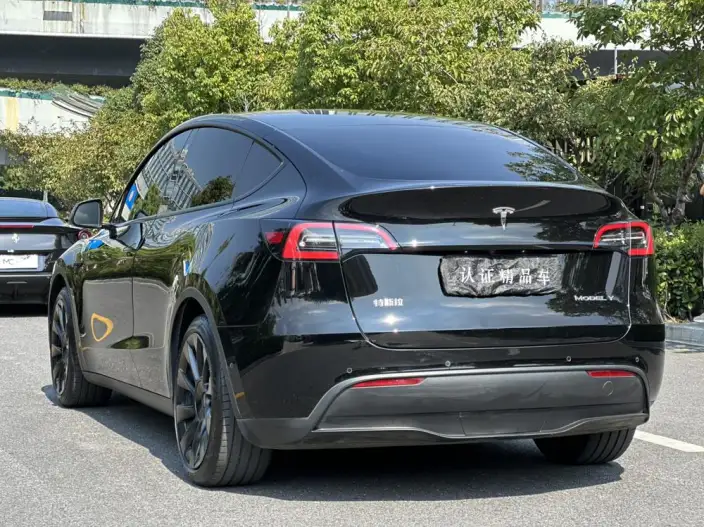 Model Y 2022 Model Rear-wheel drive version – фото 5