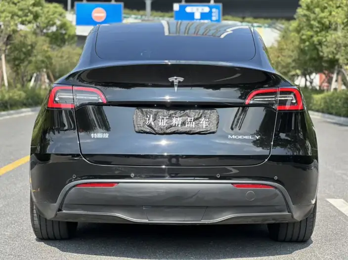 Model Y 2022 Model Rear-wheel drive version – фото 6