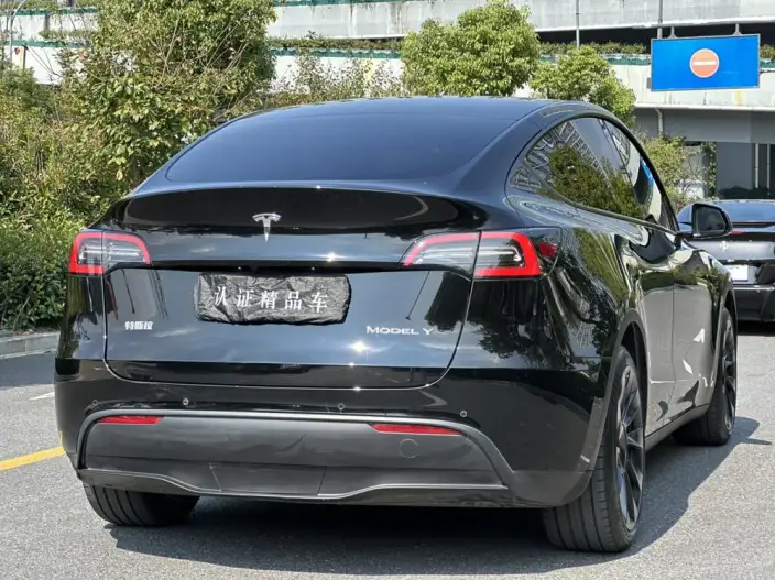 Model Y 2022 Model Rear-wheel drive version – фото 7