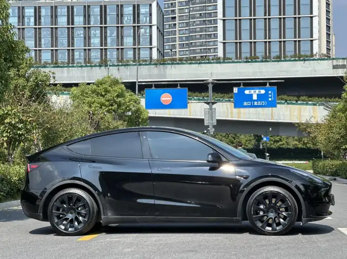 Model Y 2022 Model Rear-wheel drive version – фото 8