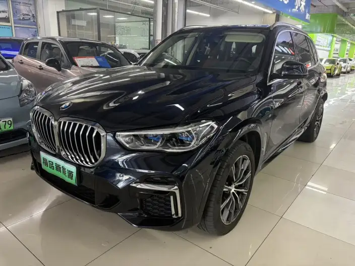 BMW X5 2022 Model xDrive 30Li Exclusive Model M Sports Set – фото 1