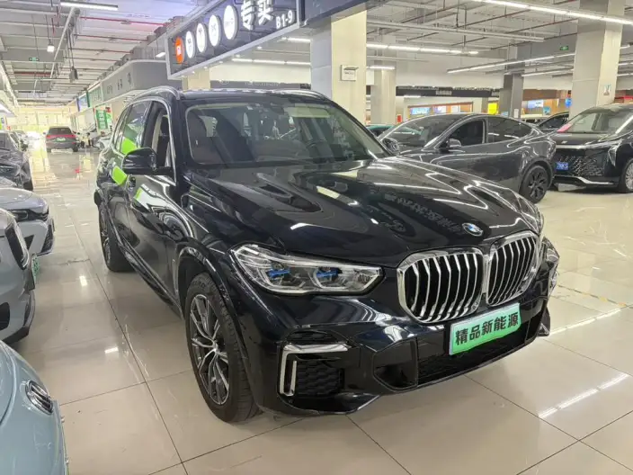 BMW X5 2022 Model xDrive 30Li Exclusive Model M Sports Set – фото 3